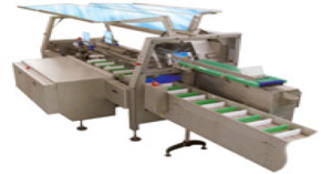 TECAD | estuchadoras